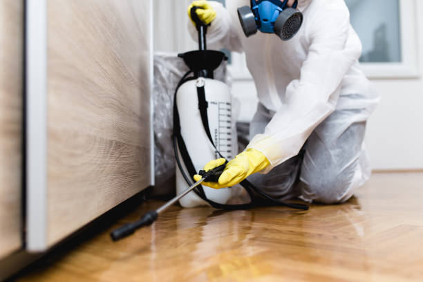 Best Residential Pest Control  in Molalla, OR