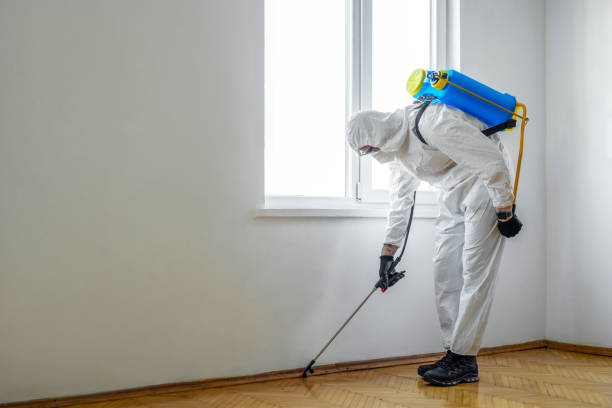 Best Best Pest Control Companies  in Molalla, OR